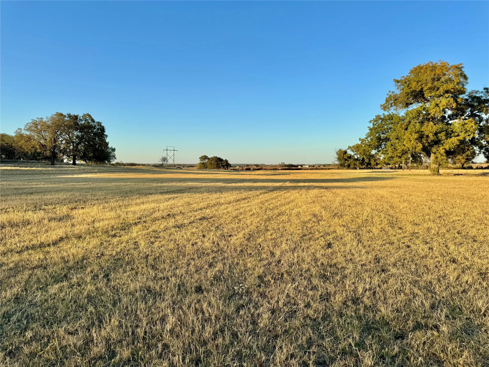 Expansive open field with scattered mature trees and distant power lines