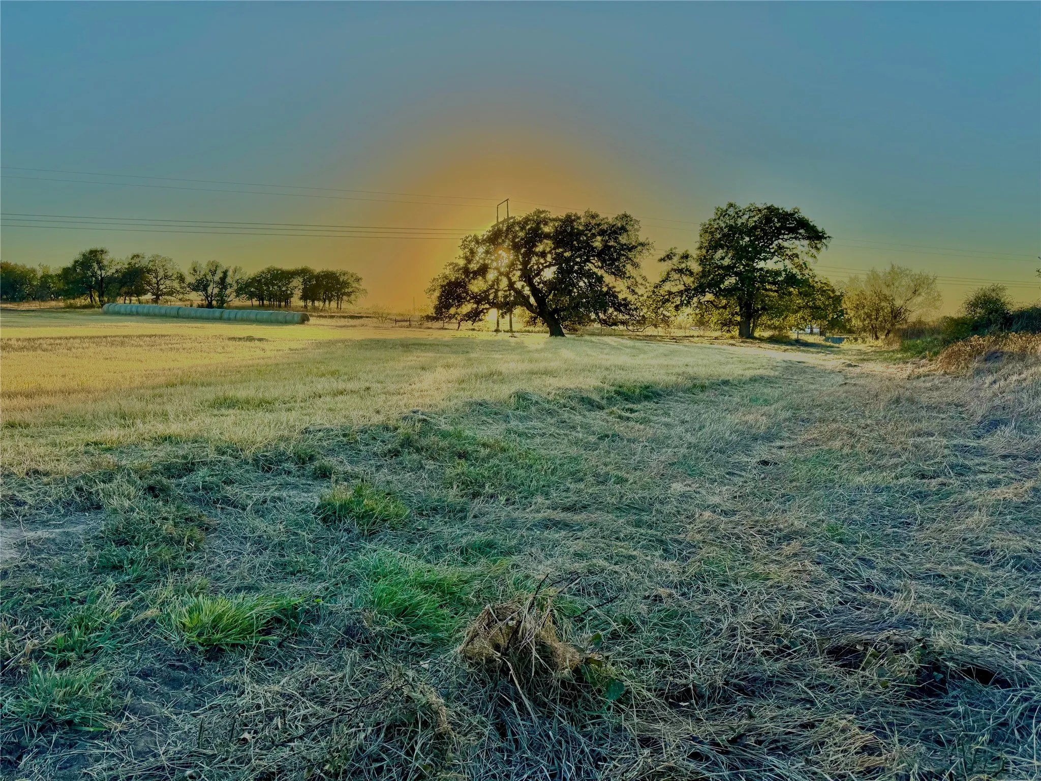Expansive open field with scattered mature trees and distant landscape elements
