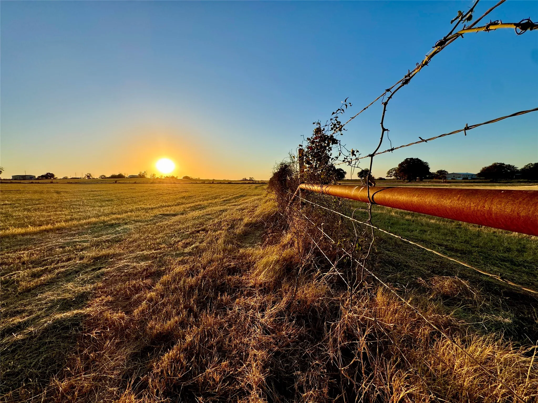 Expansive rural landscape featuring a wire fence, natural groundcover, and distant trees under a clear sky