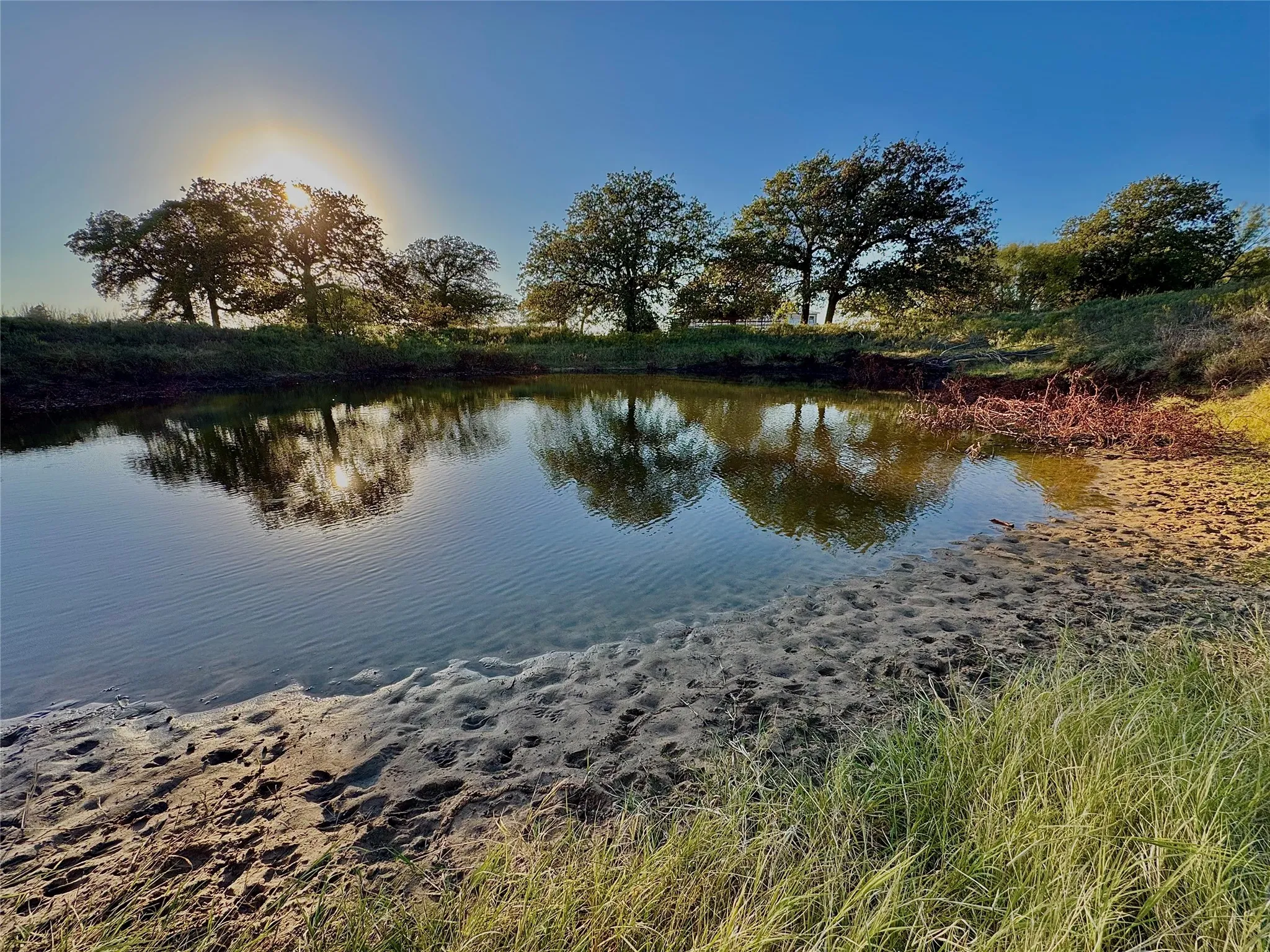 Water feature with surrounding mature trees and natural landscaping
