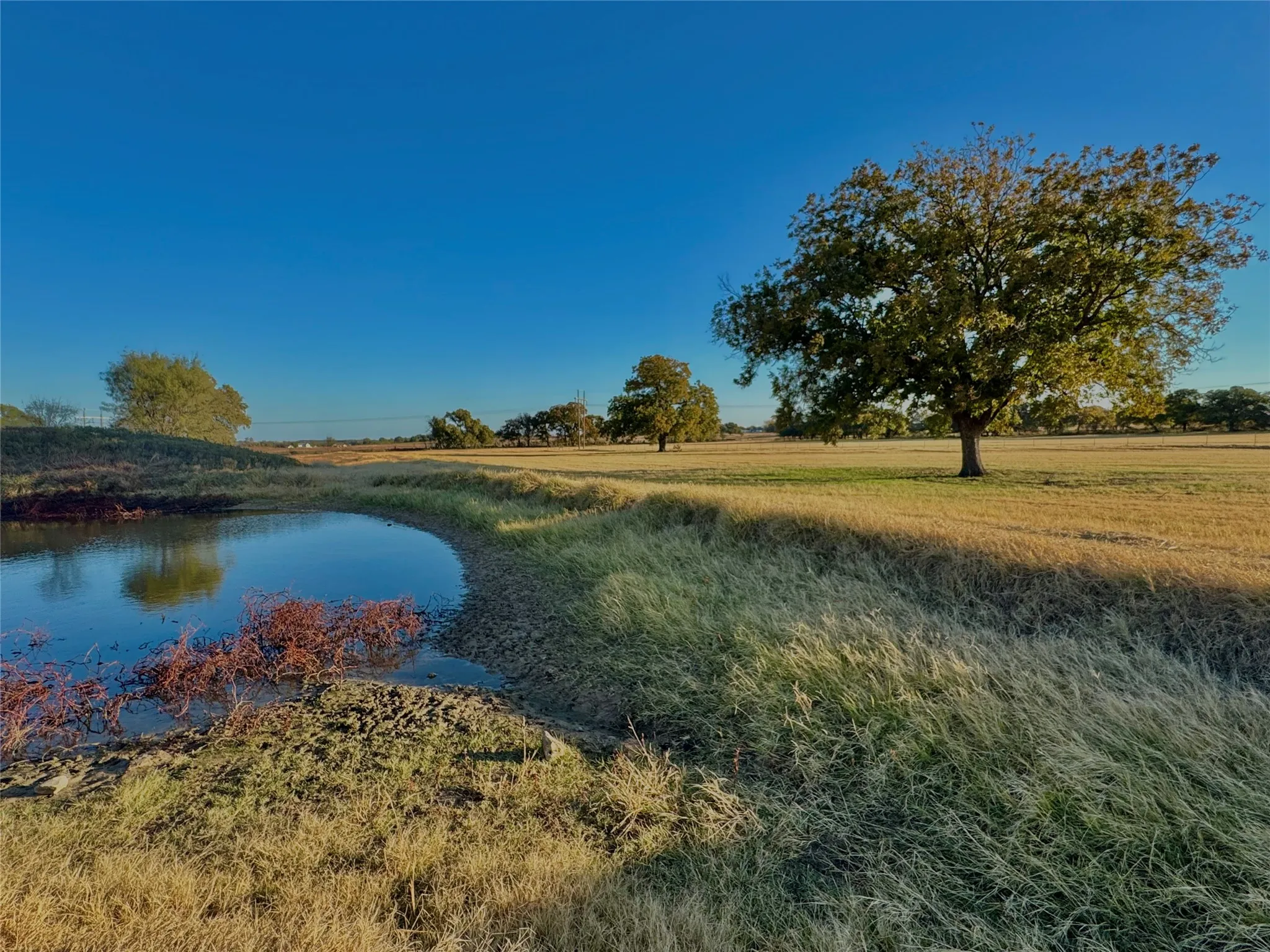 Expansive open acreage featuring a natural pond and mature deciduous trees