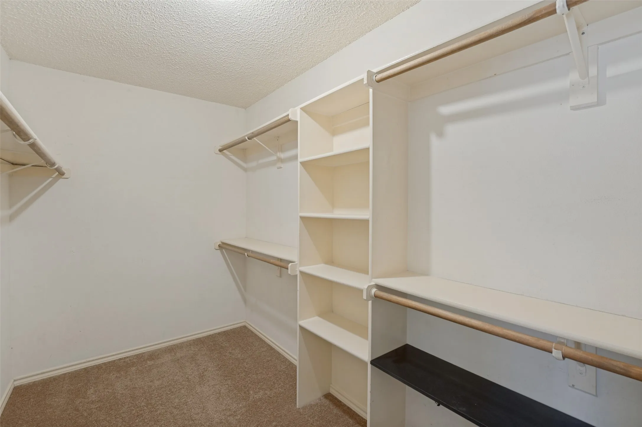 Built-in shelving, multiple hanging rods, and neutral carpeting
