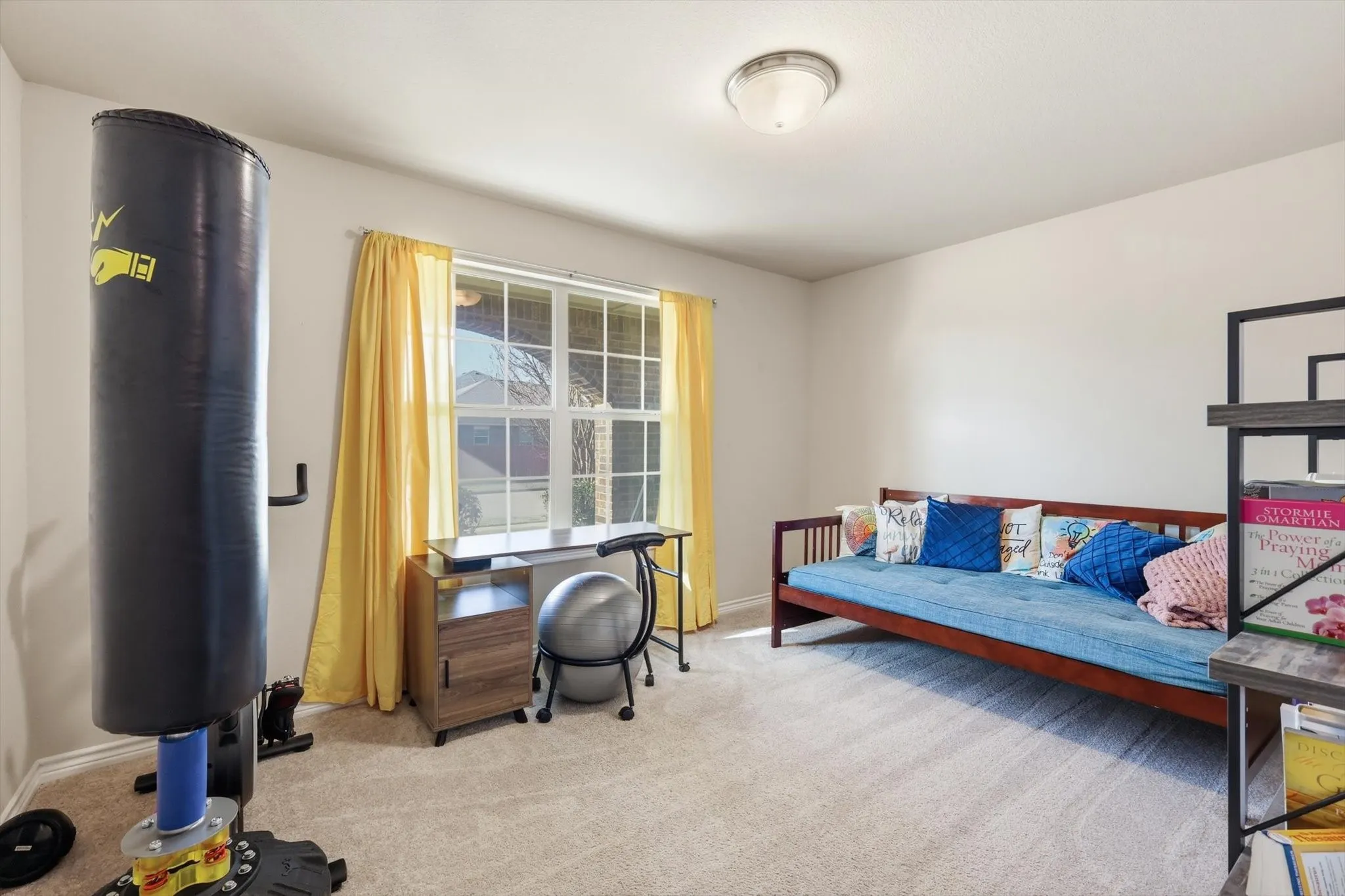 Carpeted room with a window, ceiling-mounted light fixture, and neutral wall tones