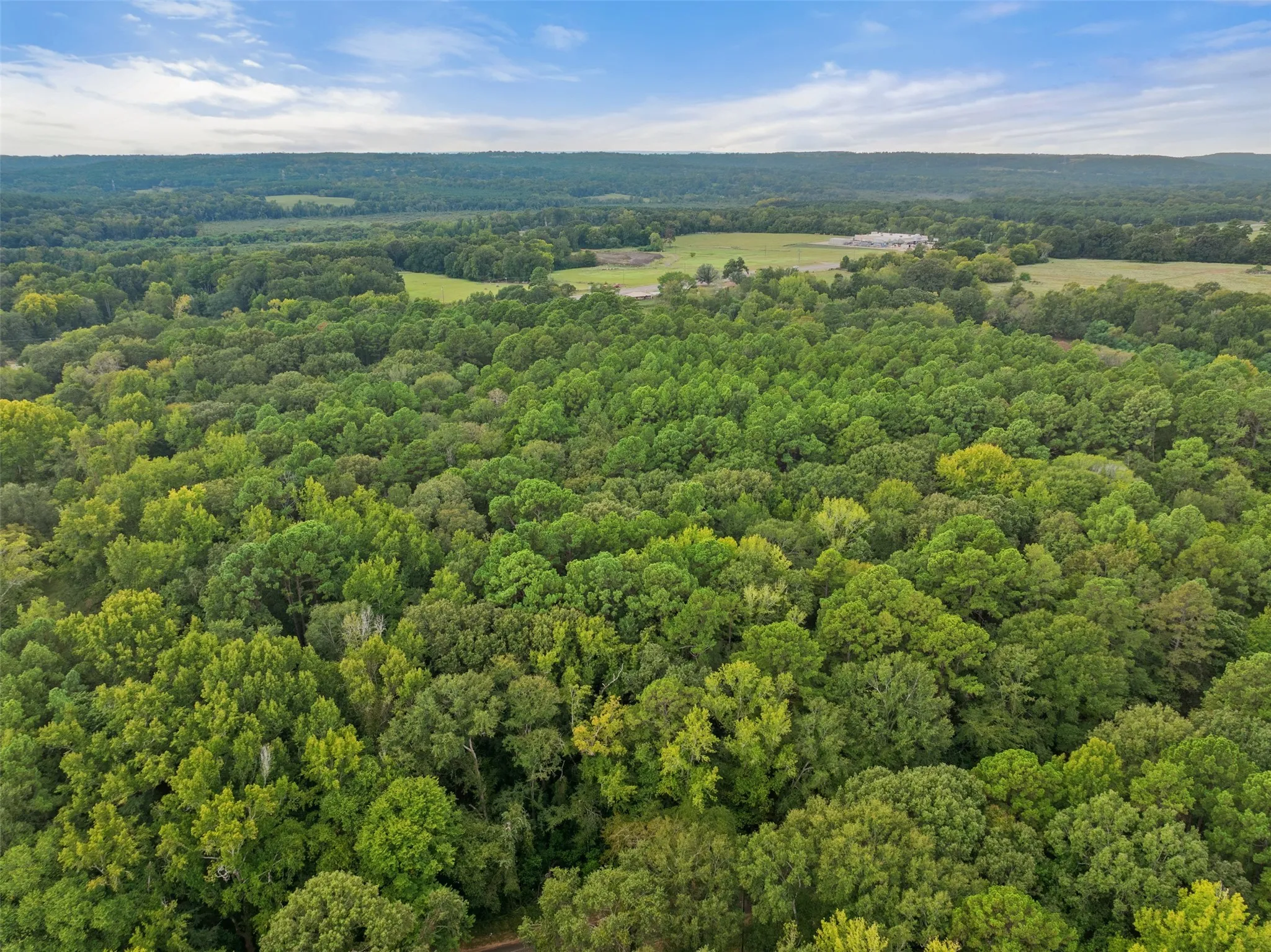 Unimproved Land For Sale in Anderson County , 0000 CR 300, Frankston, Texas 75763, 0, 0, Garage spaces, 0 Sqft, built in 0, mls#21402618, Real Estate Agent in Frankston, Homes For Sale in Anderson county, Homes For Sale in Frankston, Realtor in Frankston Texas, Real Estate Brokerage Independent Realty Texas, Luminita Cordes Realtor