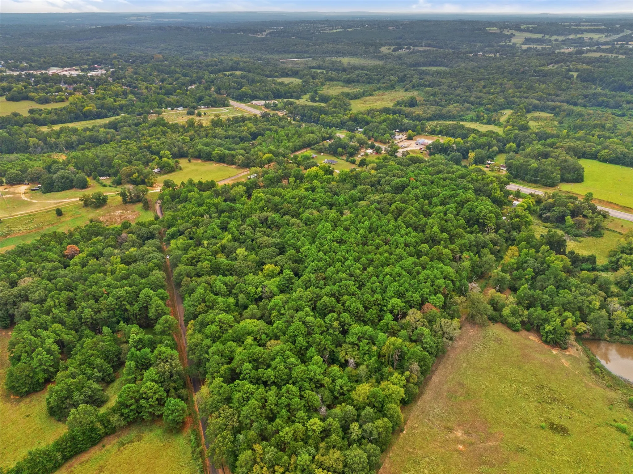 Unimproved Land For Sale in Anderson County , 0000 CR 300, Frankston, Texas 75763, 0, 0, Garage spaces, 0 Sqft, built in 0, mls#21402618, Real Estate Agent in Frankston, Homes For Sale in Anderson county, Homes For Sale in Frankston, Realtor in Frankston Texas, Real Estate Brokerage Independent Realty Texas, Luminita Cordes Realtor