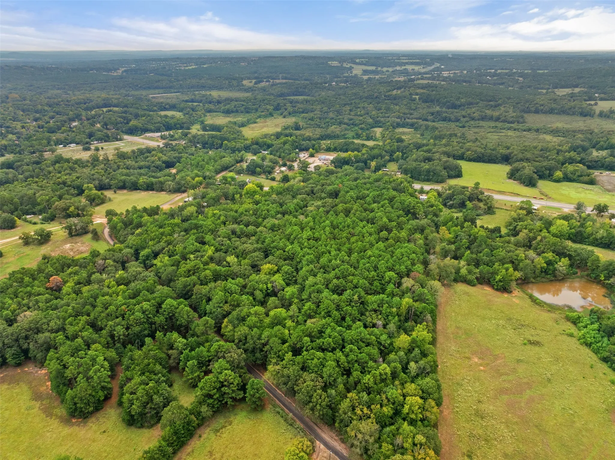 Unimproved Land For Sale in Anderson County , 0000 CR 300, Frankston, Texas 75763, 0, 0, Garage spaces, 0 Sqft, built in 0, mls#21402618, Real Estate Agent in Frankston, Homes For Sale in Anderson county, Homes For Sale in Frankston, Realtor in Frankston Texas, Real Estate Brokerage Independent Realty Texas, Luminita Cordes Realtor