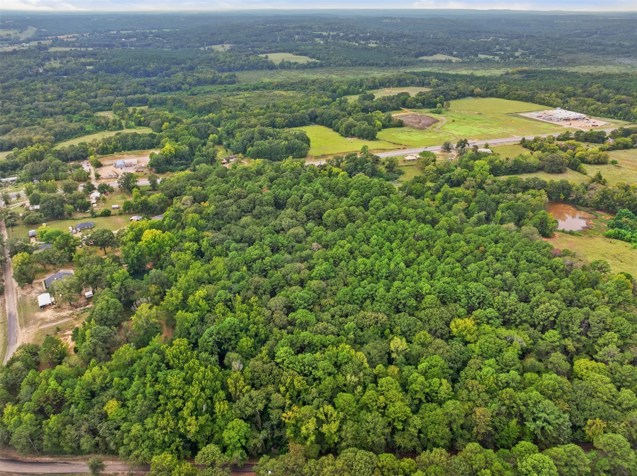 Unimproved Land For Sale in Anderson County , 0000 CR 300, Frankston, Texas 75763, 0, 0, Garage spaces, 0 Sqft, built in 0, mls#21402618, Real Estate Agent in Frankston, Homes For Sale in Anderson county, Homes For Sale in Frankston, Realtor in Frankston Texas, Real Estate Brokerage Independent Realty Texas, Luminita Cordes Realtor