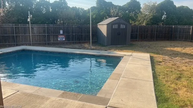 Swimming pool with concrete surround
