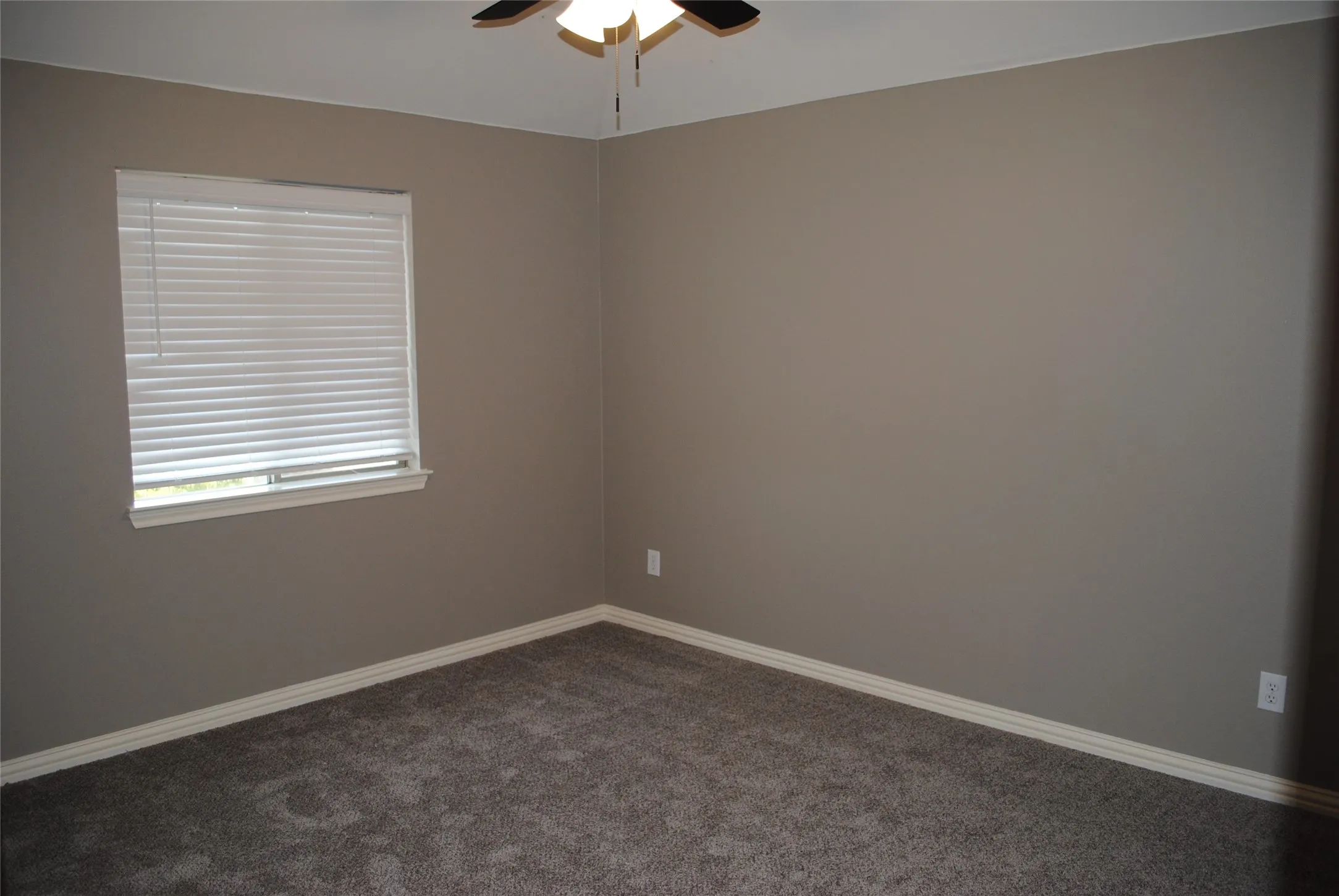 Carpeted room featuring a ceiling fan, a window with white blinds, and neutral-toned walls