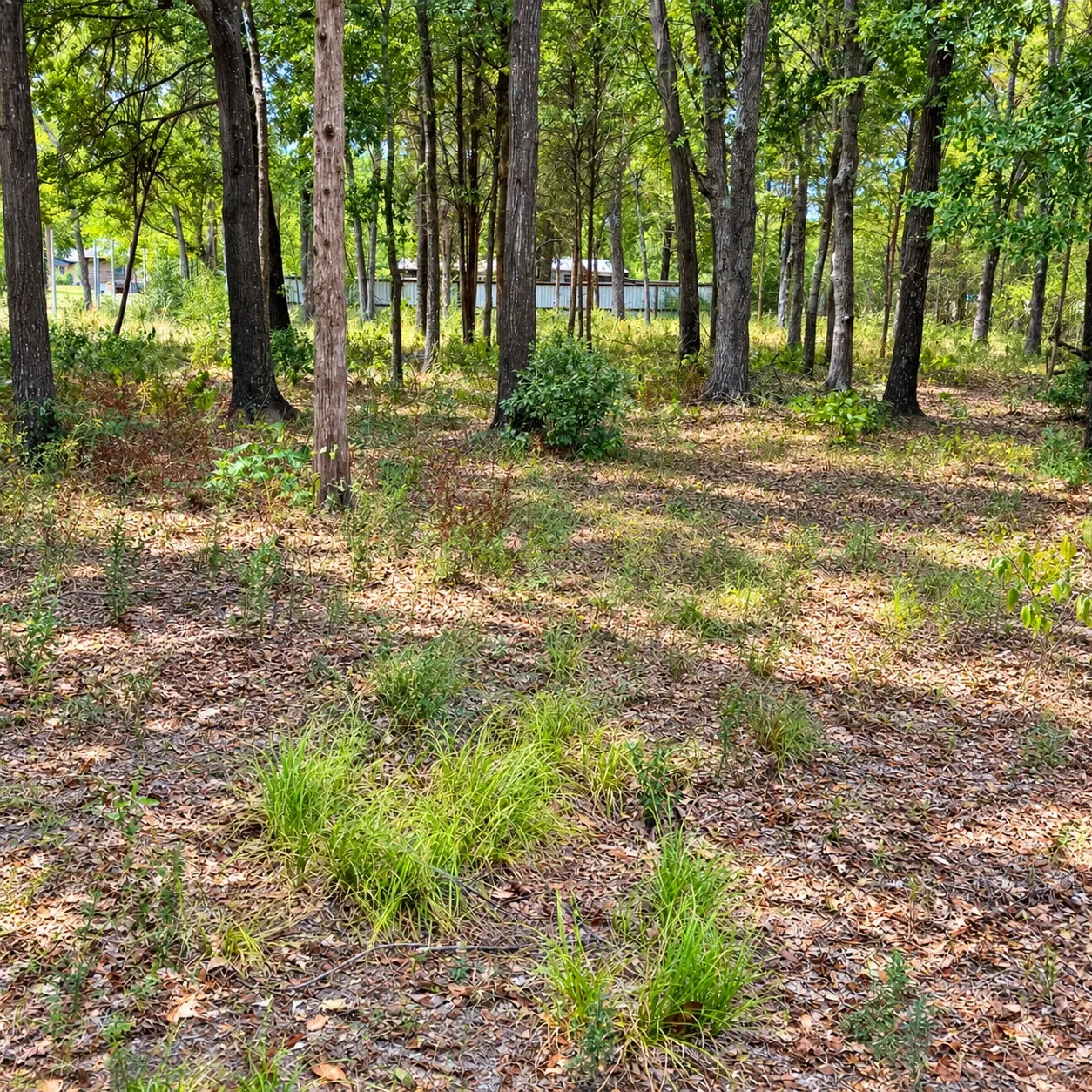 Improved Land For Sale in Henderson County , 0000 TBD W. Moss Street, Malakoff, Texas 75148, 0, 0, Garage spaces, 0 Sqft, built in 0, mls#21399323, Real Estate Agent in Malakoff, Homes For Sale in Henderson county, Homes For Sale in Malakoff, Realtor in Malakoff Texas, Real Estate Brokerage Independent Realty Texas, Luminita Cordes Realtor