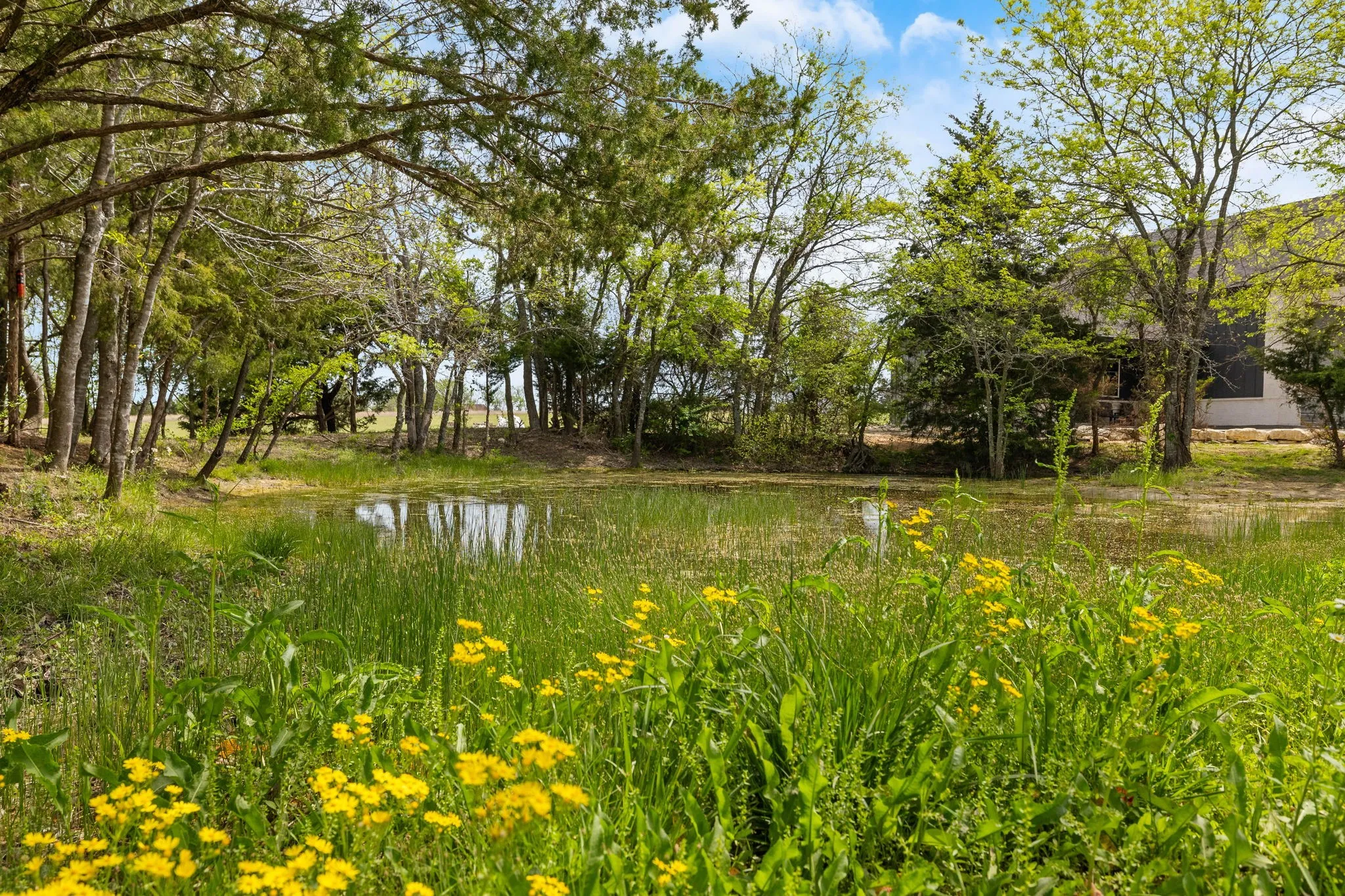 Single Family Residence For Sale in Grayson County , 313 Ryker Lane, Gunter, Texas 75058, 3 Bedroom, 4 Bathroom, 3 Garage spaces, 3,076 Sqft, built in 2023, mls#21402621, Real Estate Agent in Gunter, Homes For Sale in Grayson county, Homes For Sale in Gunter, Realtor in Gunter Texas, Real Estate Brokerage Independent Realty Texas, Luminita Cordes Realtor