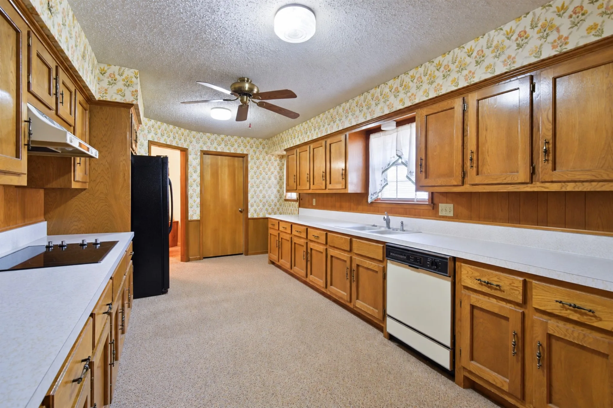 Kitchen featuring wood cabinetry, light-toned countertops, a built-in electric cooktop, and a ceiling fan