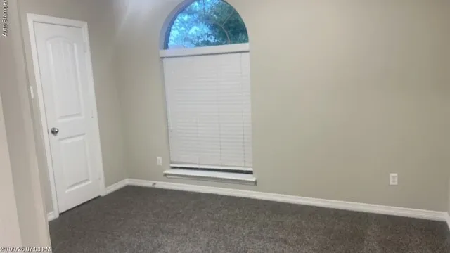 Arched window with blinds, light gray wall color, white trim, and gray carpet