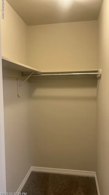 Walk-in closet featuring an integrated shelf, hanging rod, and carpet flooring