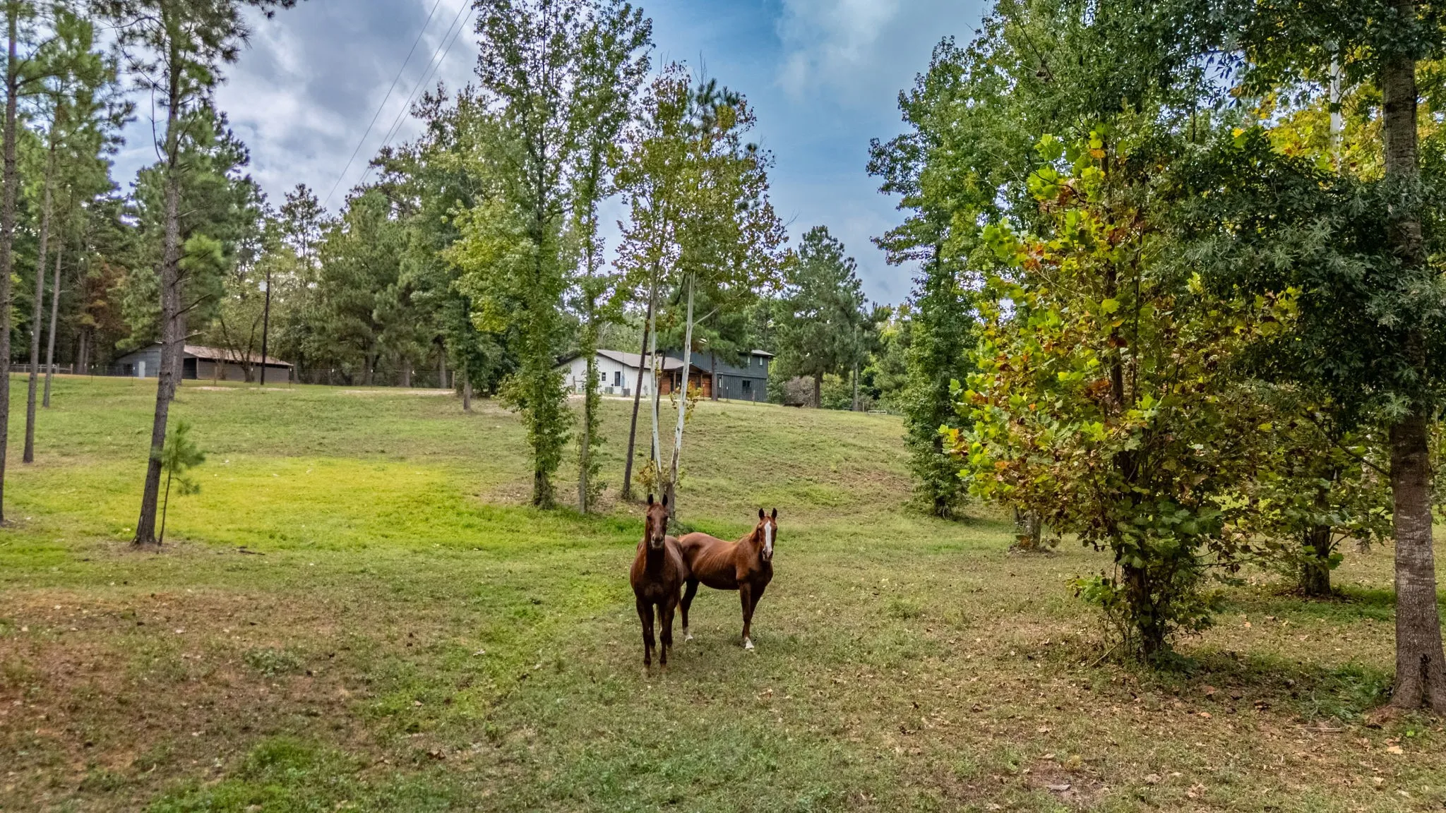 Single Family Residence For Sale in Cherokee County , 6411 Fm 23 W, Rusk, Texas 75785, 4 Bedroom, 3 Bathroom, 2 Garage spaces, 2,782 Sqft, built in 1959, mls#21402668, Real Estate Agent in Rusk, Homes For Sale in Cherokee county, Homes For Sale in Rusk, Realtor in Rusk Texas, Real Estate Brokerage Independent Realty Texas, Luminita Cordes Realtor