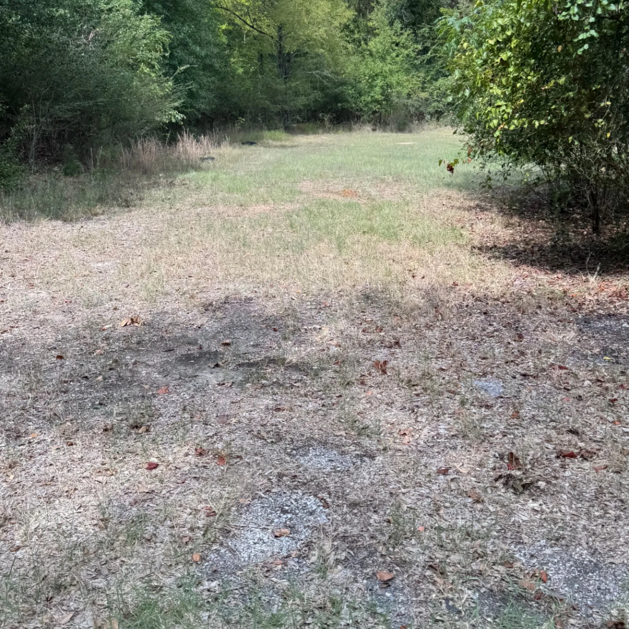 Unimproved Land For Sale in Henderson County , 0000 TBD E. Moss Street, Malakoff, Texas 75148, 0, 0, Garage spaces, 0 Sqft, built in 0, mls#21399309, Real Estate Agent in Malakoff, Homes For Sale in Henderson county, Homes For Sale in Malakoff, Realtor in Malakoff Texas, Real Estate Brokerage Independent Realty Texas, Luminita Cordes Realtor