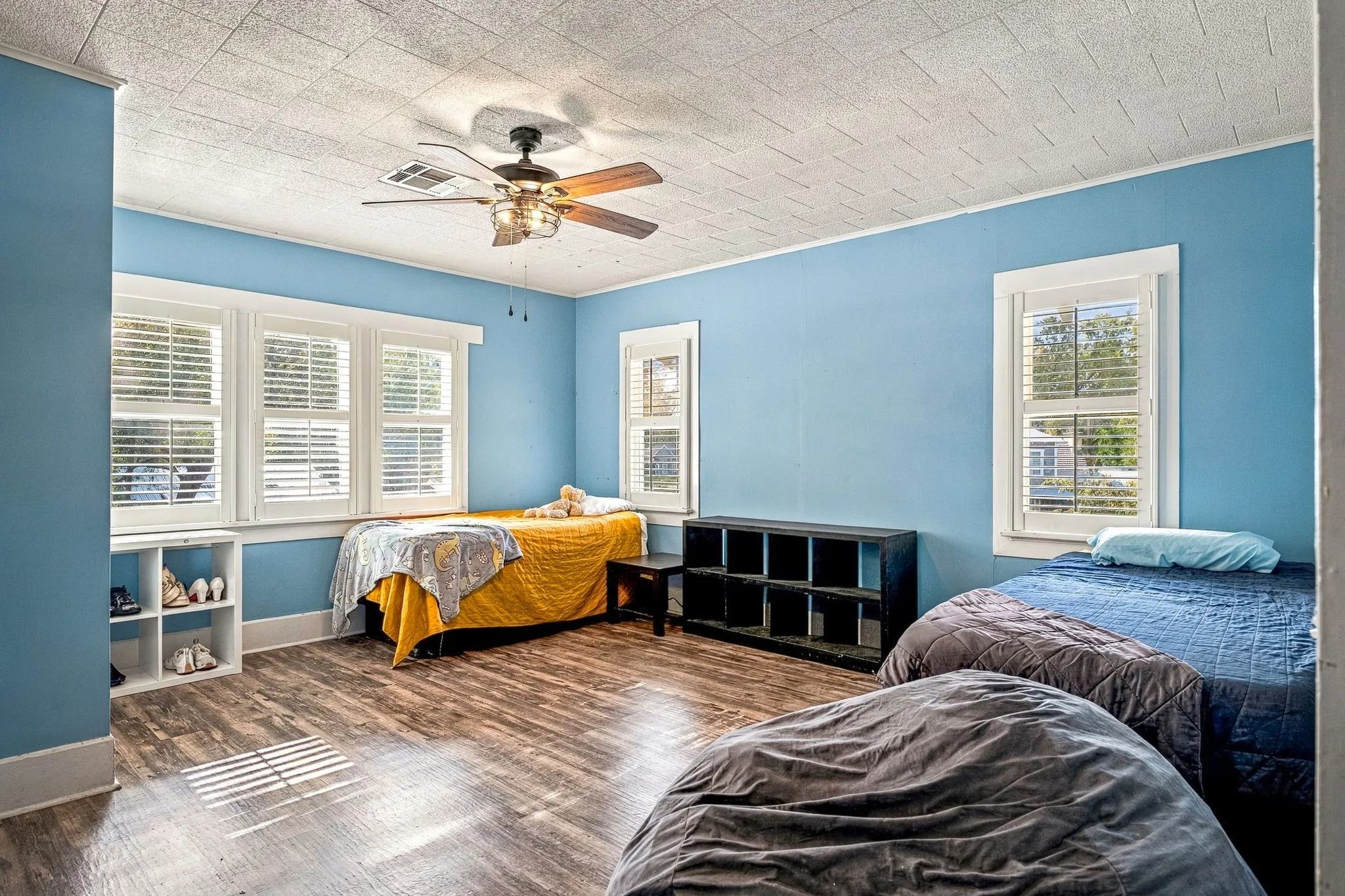 Spacious bedroom featuring bright blue walls, wood-finish flooring, and abundant natural light from multiple windows with plantation shutters