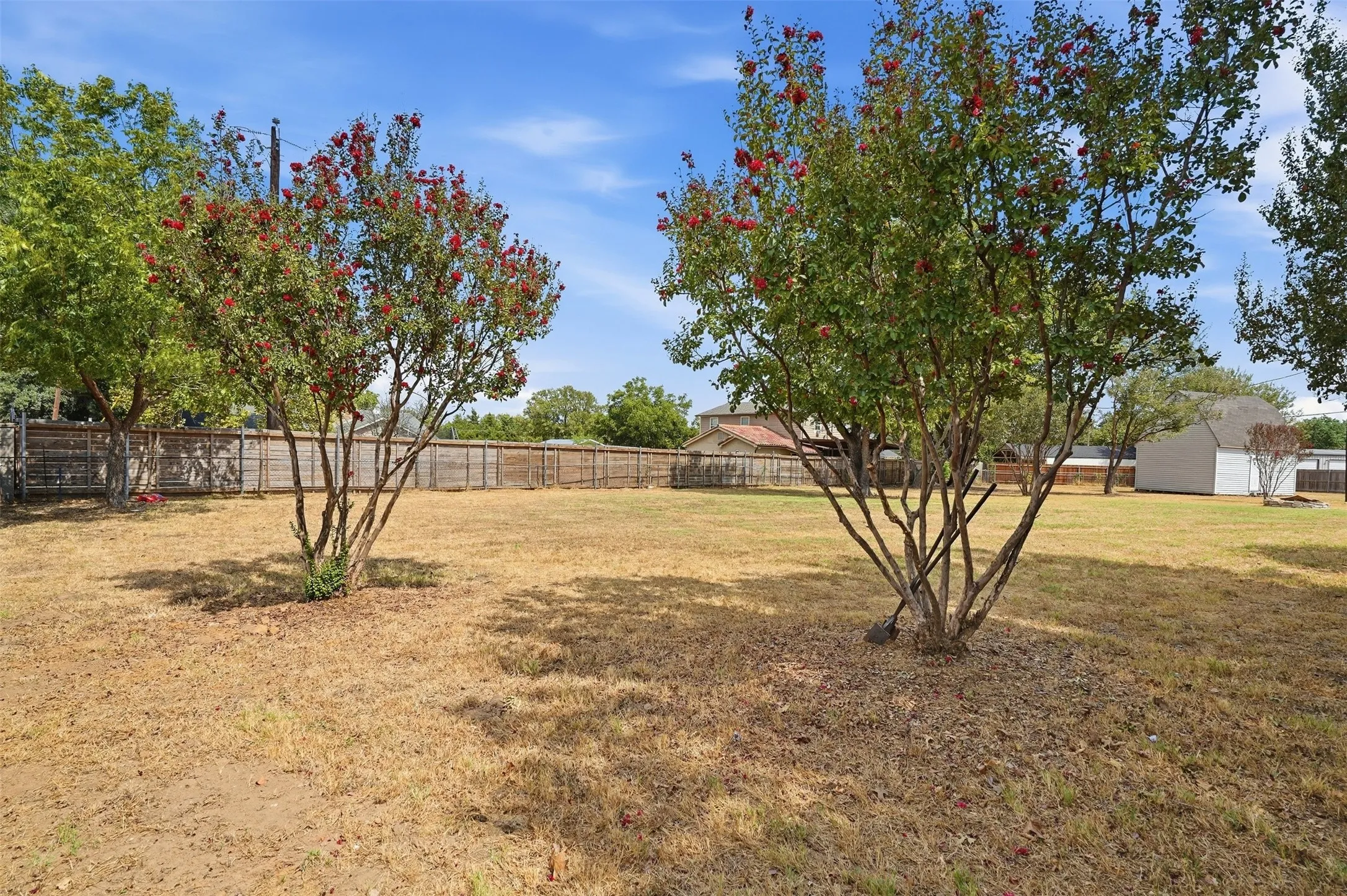 Expansive backyard featuring mature trees with flowering foliage, a wooden privacy fence, and a detached storage shed
