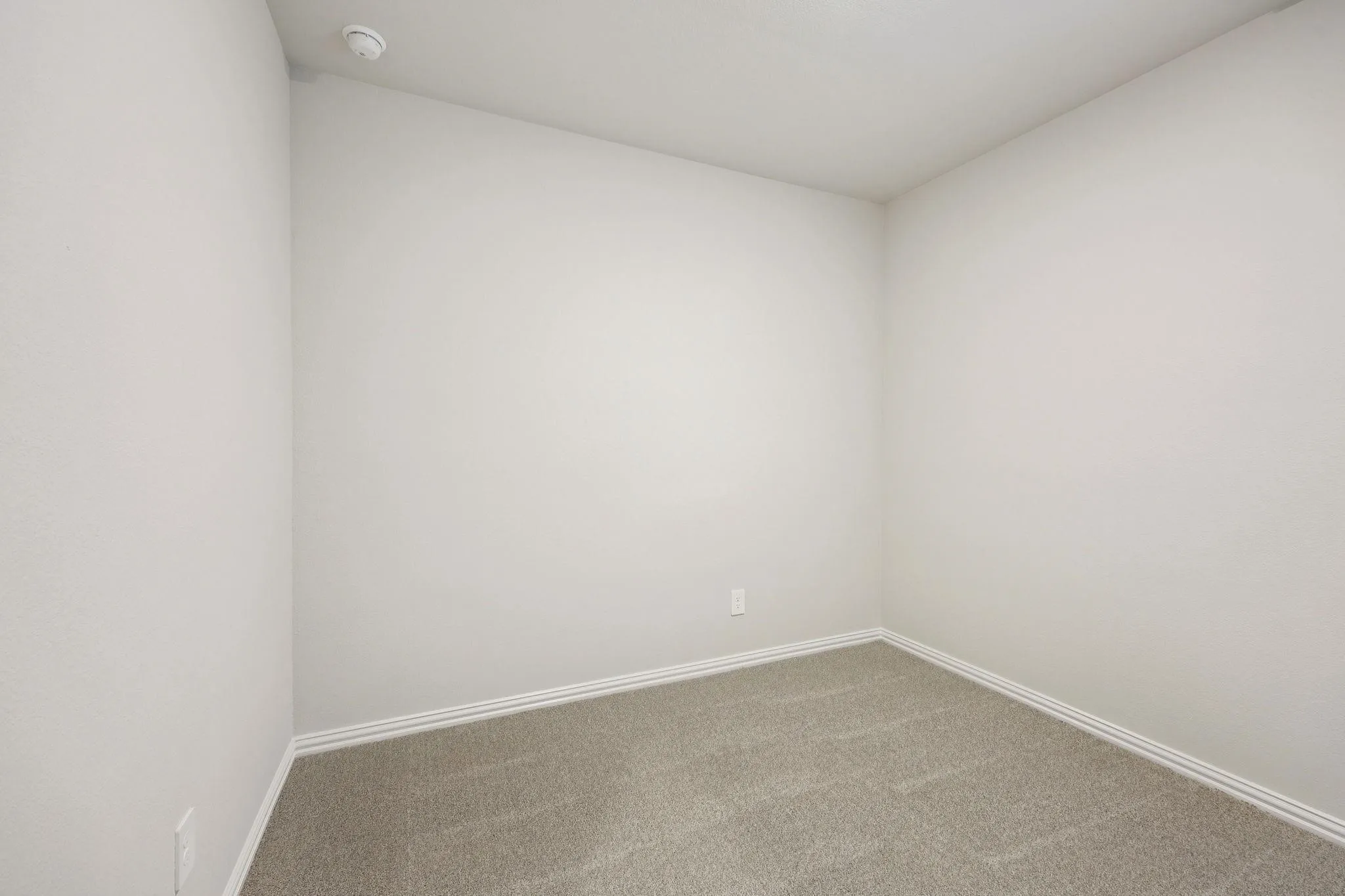 Neutral wall paint and carpeting throughout