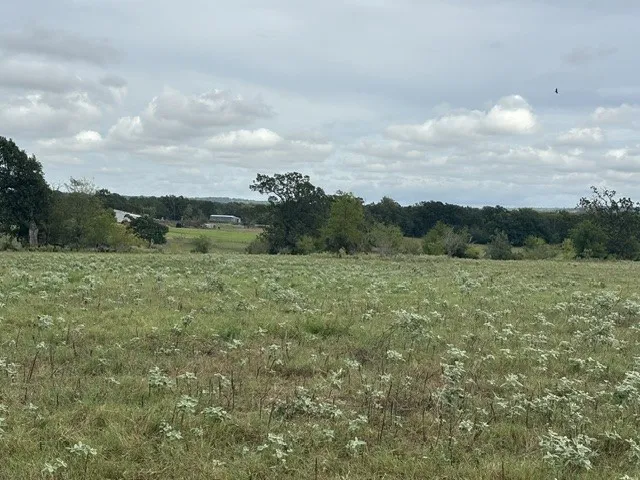 Improved Land For Sale in Henderson County , TBD FM 2709, Eustace, Texas 75124, 0, 0, Garage spaces, 0 Sqft, built in 0, mls#21402250, Real Estate Agent in Eustace, Homes For Sale in Henderson county, Homes For Sale in Eustace, Realtor in Eustace Texas, Real Estate Brokerage Independent Realty Texas, Luminita Cordes Realtor