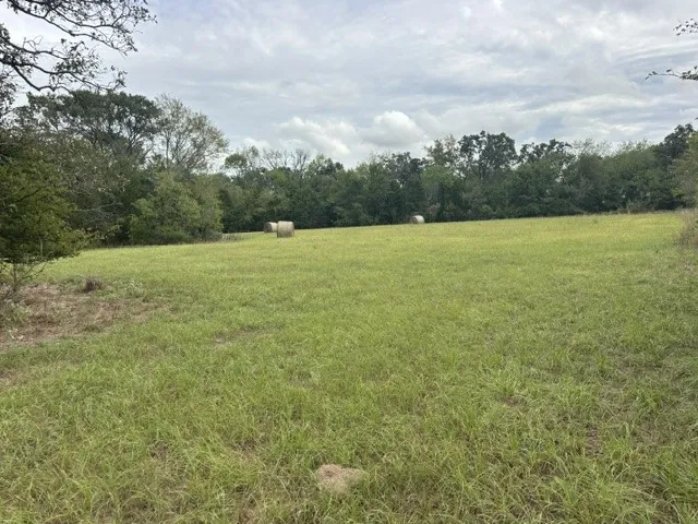 Improved Land For Sale in Henderson County , TBD FM 2709, Eustace, Texas 75124, 0, 0, Garage spaces, 0 Sqft, built in 0, mls#21402250, Real Estate Agent in Eustace, Homes For Sale in Henderson county, Homes For Sale in Eustace, Realtor in Eustace Texas, Real Estate Brokerage Independent Realty Texas, Luminita Cordes Realtor