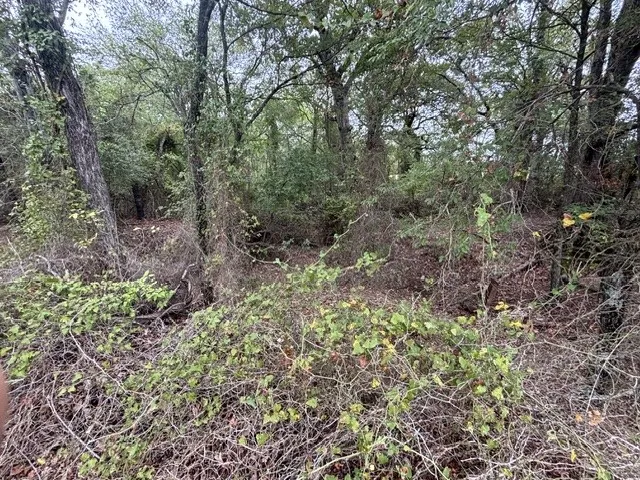 Improved Land For Sale in Henderson County , TBD FM 2709, Eustace, Texas 75124, 0, 0, Garage spaces, 0 Sqft, built in 0, mls#21402250, Real Estate Agent in Eustace, Homes For Sale in Henderson county, Homes For Sale in Eustace, Realtor in Eustace Texas, Real Estate Brokerage Independent Realty Texas, Luminita Cordes Realtor