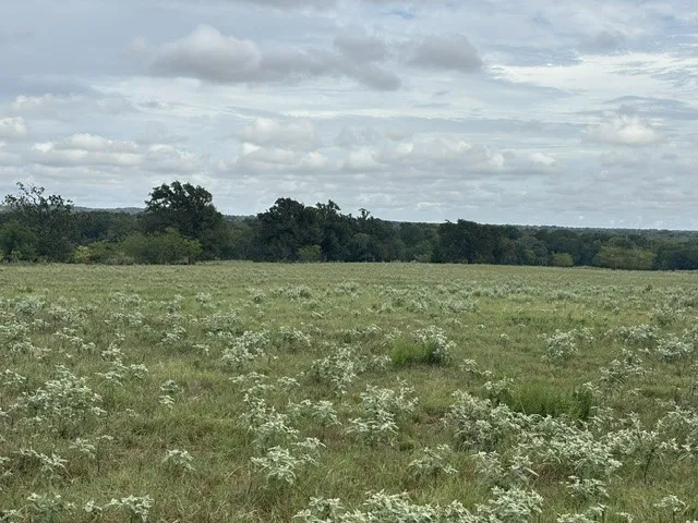Improved Land For Sale in Henderson County , TBD FM 2709, Eustace, Texas 75124, 0, 0, Garage spaces, 0 Sqft, built in 0, mls#21402250, Real Estate Agent in Eustace, Homes For Sale in Henderson county, Homes For Sale in Eustace, Realtor in Eustace Texas, Real Estate Brokerage Independent Realty Texas, Luminita Cordes Realtor