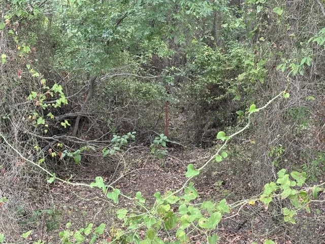 Improved Land For Sale in Henderson County , TBD FM 2709, Eustace, Texas 75124, 0, 0, Garage spaces, 0 Sqft, built in 0, mls#21402250, Real Estate Agent in Eustace, Homes For Sale in Henderson county, Homes For Sale in Eustace, Realtor in Eustace Texas, Real Estate Brokerage Independent Realty Texas, Luminita Cordes Realtor