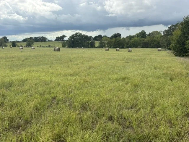 Improved Land For Sale in Henderson County , TBD FM 2709, Eustace, Texas 75124, 0, 0, Garage spaces, 0 Sqft, built in 0, mls#21402250, Real Estate Agent in Eustace, Homes For Sale in Henderson county, Homes For Sale in Eustace, Realtor in Eustace Texas, Real Estate Brokerage Independent Realty Texas, Luminita Cordes Realtor