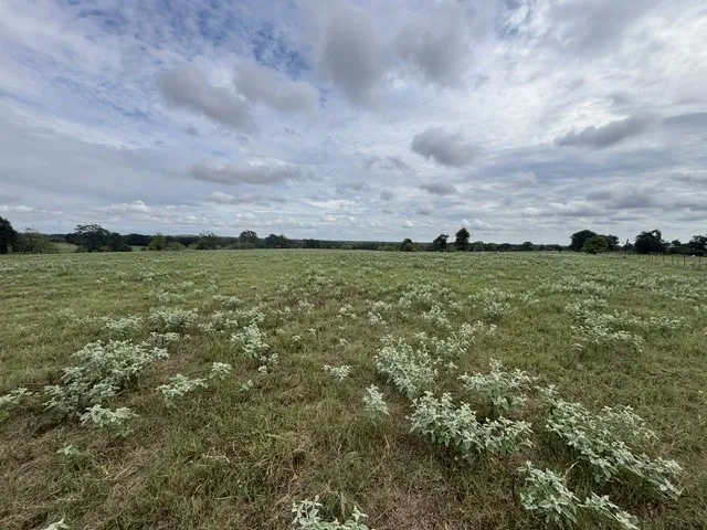 Improved Land For Sale in Henderson County , TBD FM 2709, Eustace, Texas 75124, 0, 0, Garage spaces, 0 Sqft, built in 0, mls#21402250, Real Estate Agent in Eustace, Homes For Sale in Henderson county, Homes For Sale in Eustace, Realtor in Eustace Texas, Real Estate Brokerage Independent Realty Texas, Luminita Cordes Realtor