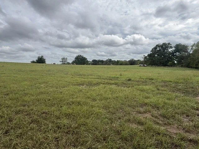 Improved Land For Sale in Henderson County , TBD FM 2709, Eustace, Texas 75124, 0, 0, Garage spaces, 0 Sqft, built in 0, mls#21402250, Real Estate Agent in Eustace, Homes For Sale in Henderson county, Homes For Sale in Eustace, Realtor in Eustace Texas, Real Estate Brokerage Independent Realty Texas, Luminita Cordes Realtor