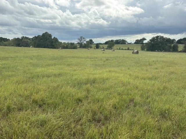 Pasture