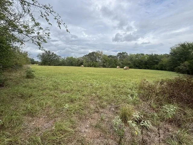 Improved Land For Sale in Henderson County , TBD FM 2709, Eustace, Texas 75124, 0, 0, Garage spaces, 0 Sqft, built in 0, mls#21402250, Real Estate Agent in Eustace, Homes For Sale in Henderson county, Homes For Sale in Eustace, Realtor in Eustace Texas, Real Estate Brokerage Independent Realty Texas, Luminita Cordes Realtor