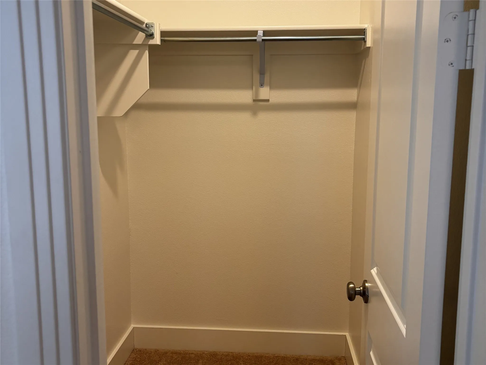Closet space with carpet flooring and built-in shelving and rod
