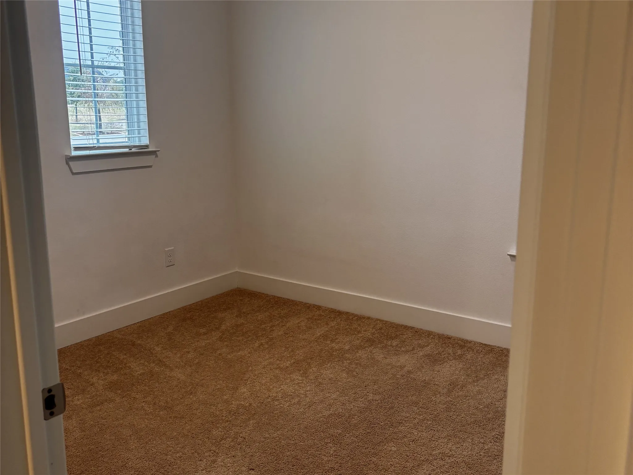 Plush carpeting, neutral wall tones, and a window with blinds
