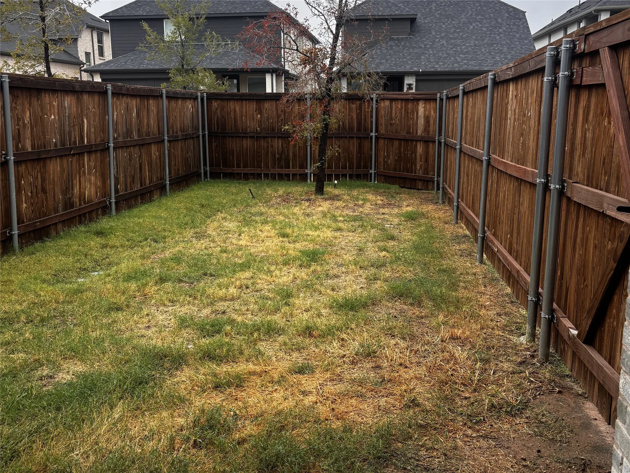 Expansive fenced yard with natural grass