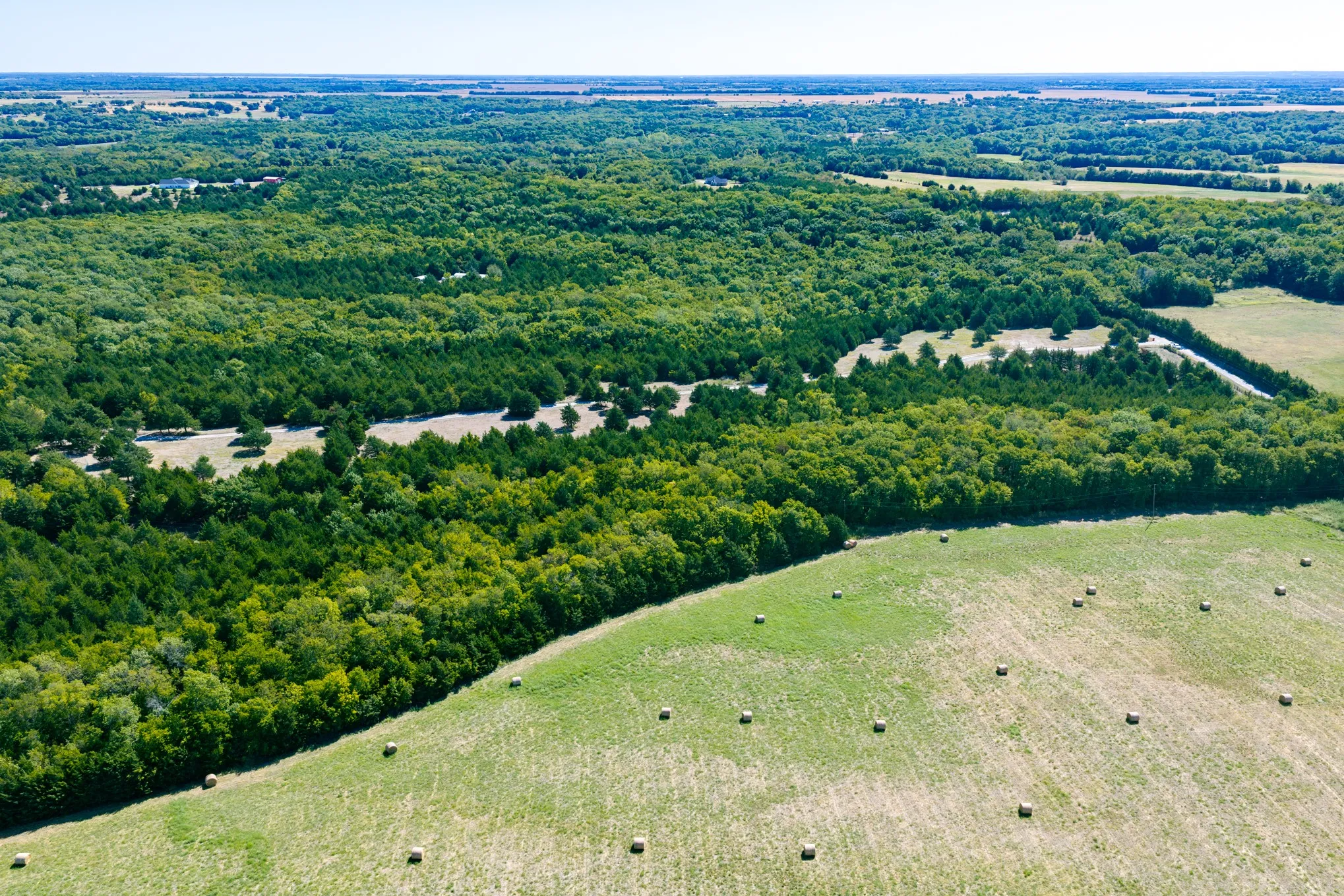 Expansive rural acreage featuring mature treelines, open fields, and a clear sky