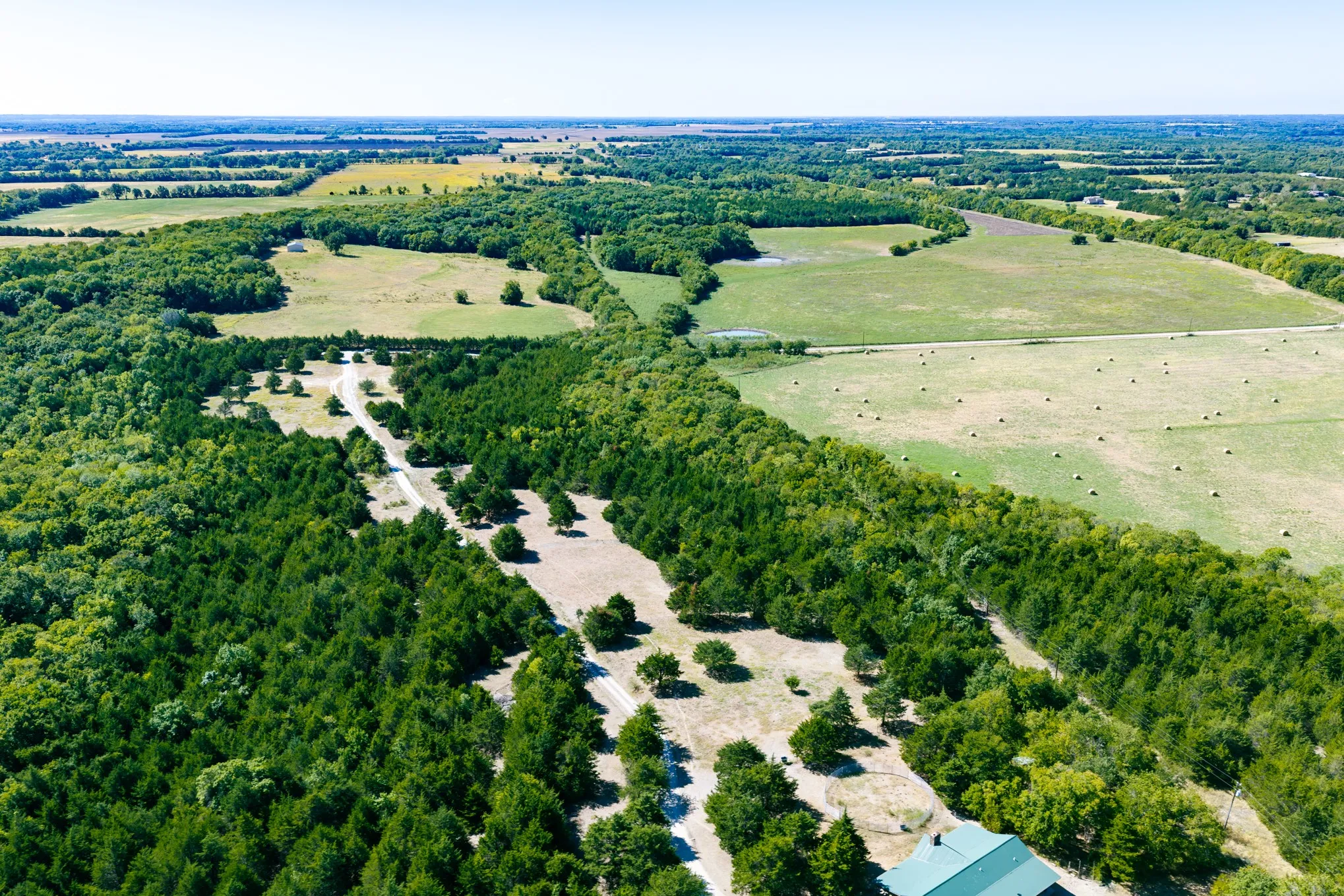 Expansive acreage featuring mature trees, open fields, and a private driveway