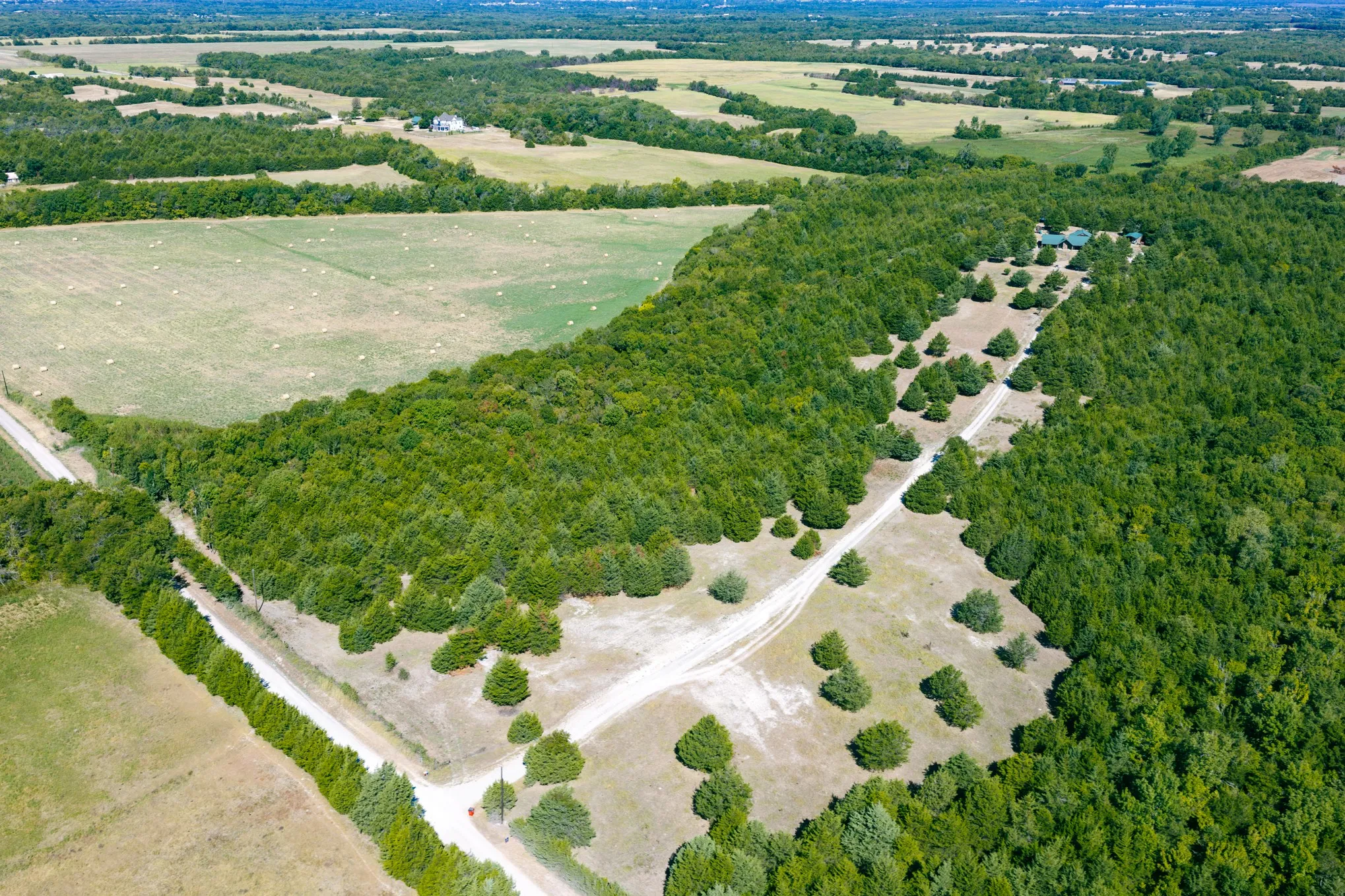 Unimproved Land For Sale in Fannin County , 00 CR 3040, Bonham, Texas 75418, 0, 0, Garage spaces, 0 Sqft, built in 0, mls#21402740, Real Estate Agent in Bonham, Homes For Sale in Fannin county, Homes For Sale in Bonham, Realtor in Bonham Texas, Real Estate Brokerage Independent Realty Texas, Luminita Cordes Realtor