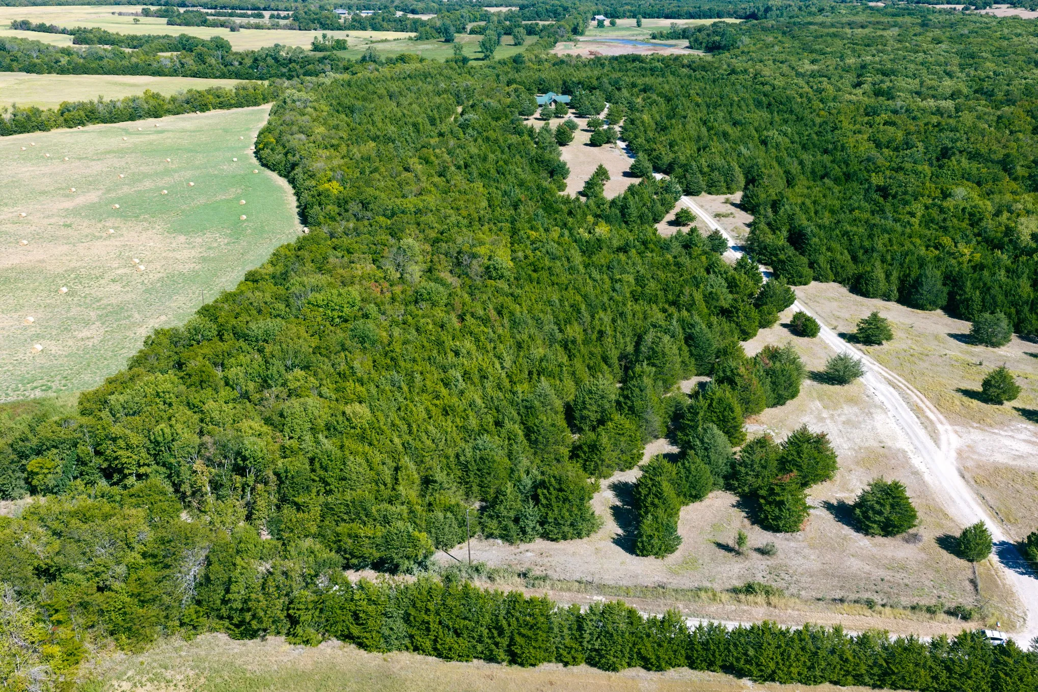 Expansive wooded acreage with a cleared field, partially visible structures, and a gravel road