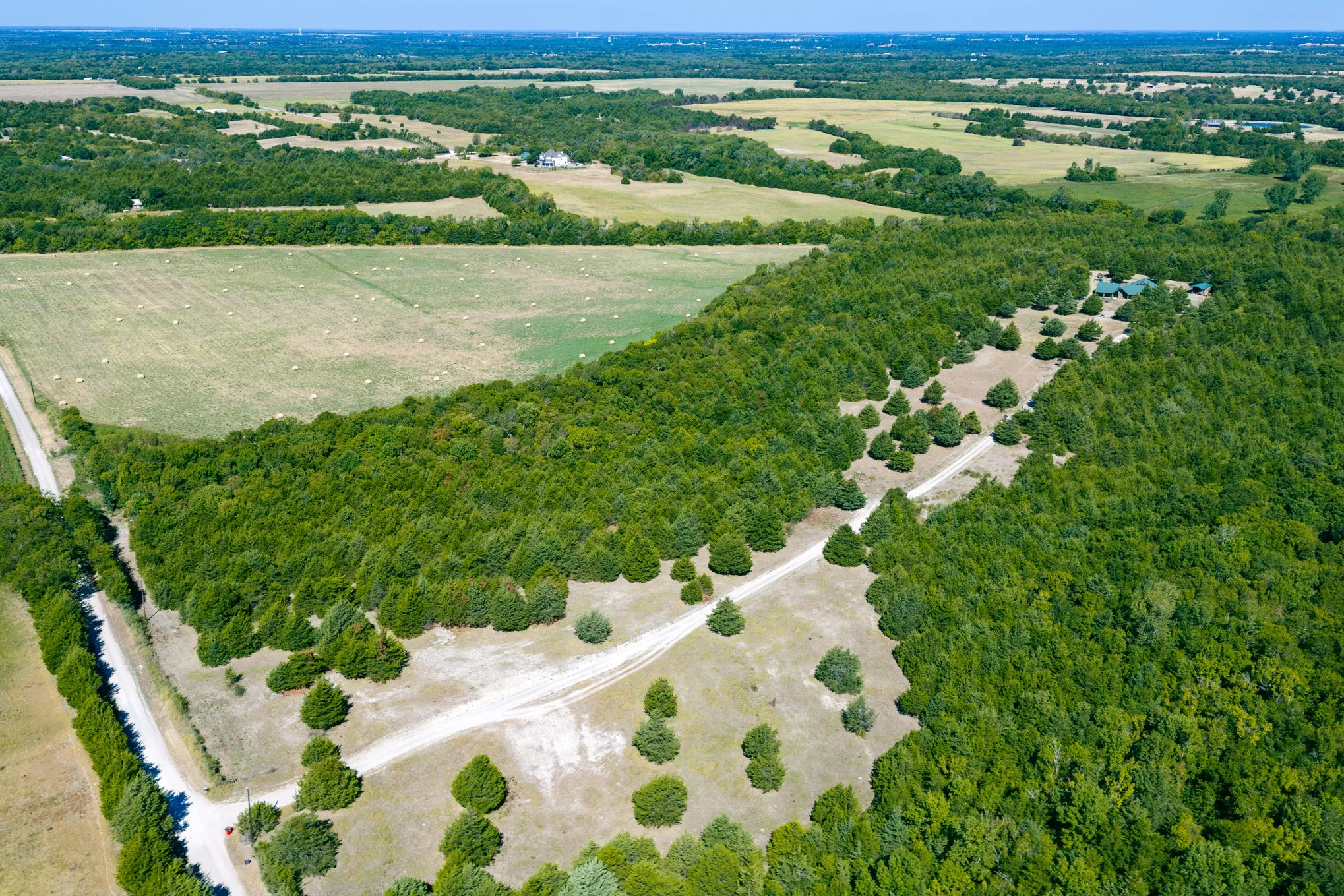 Expansive natural landscape with dense tree coverage, open fields, and a winding unpaved road