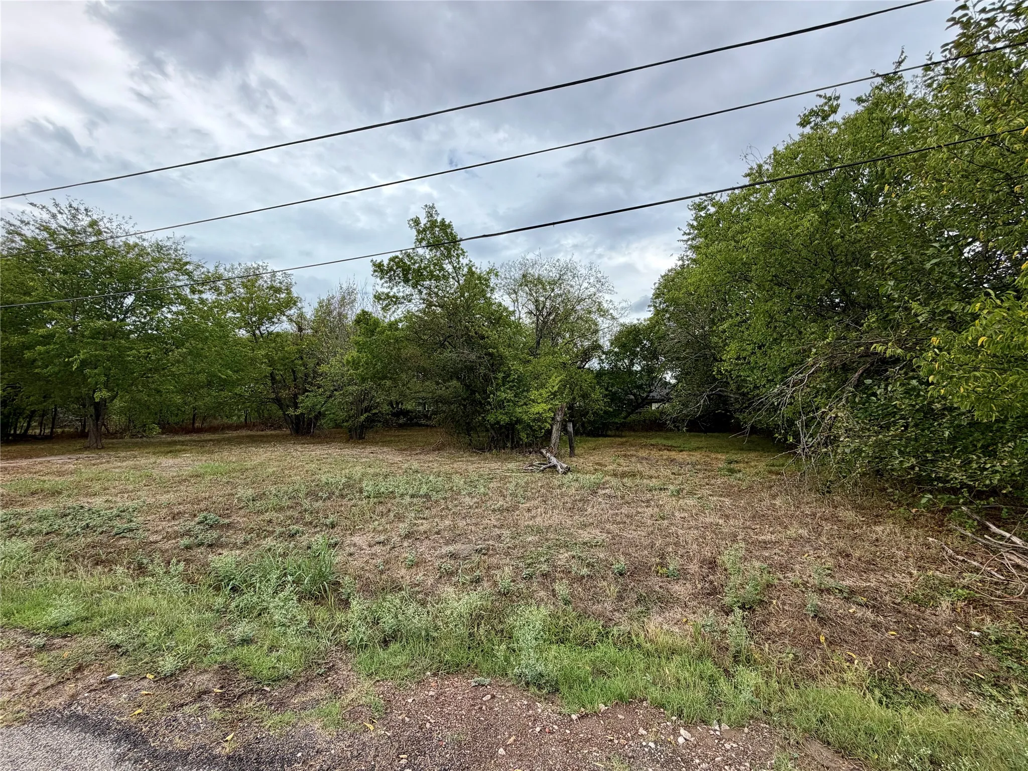 Expansive lot featuring mature trees and electricity