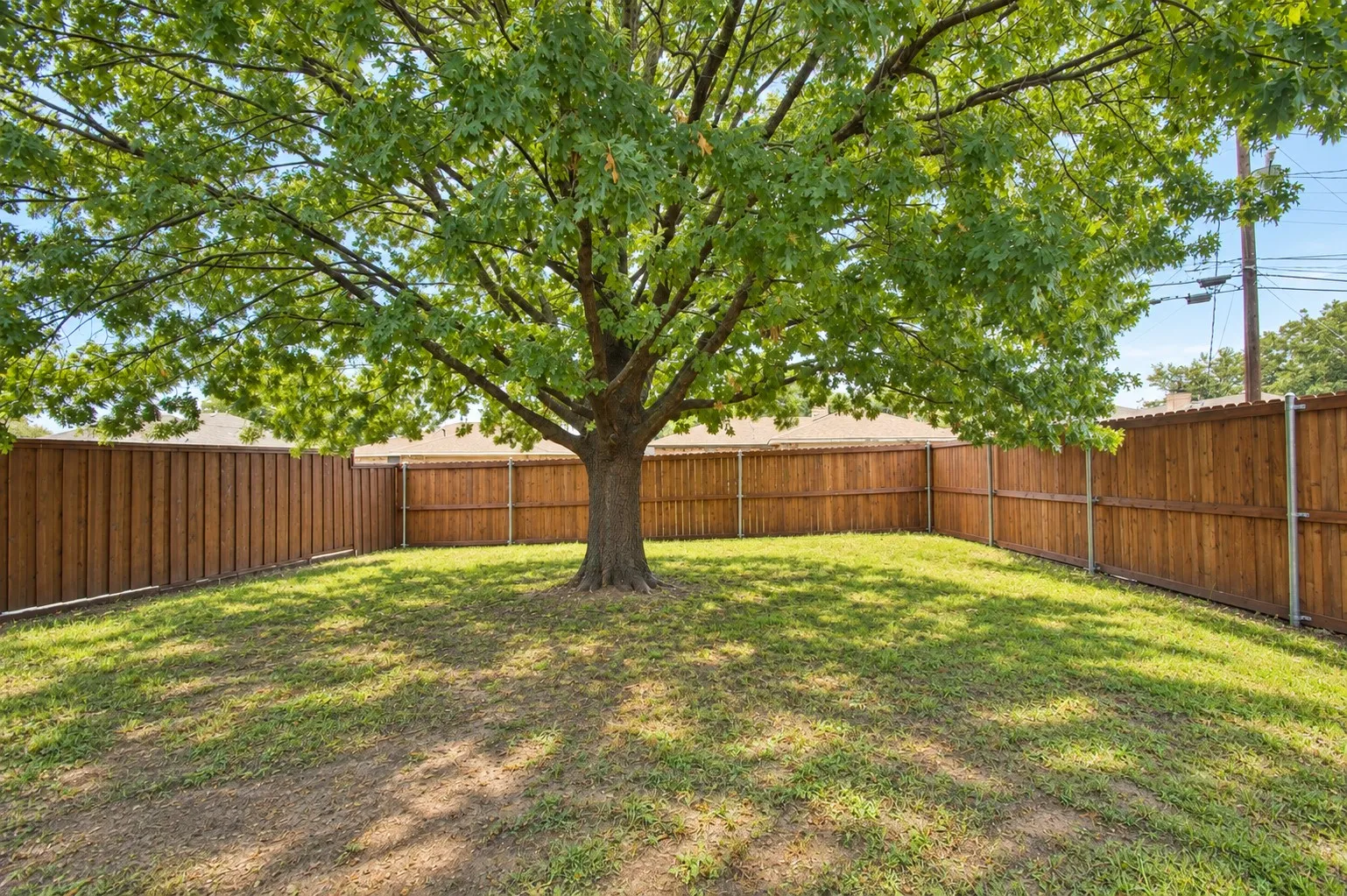 Spacious backyard and a shade tree!