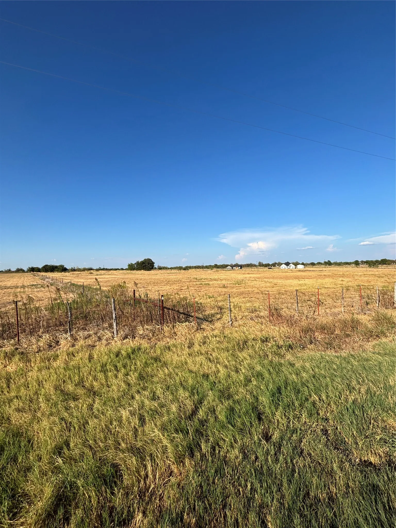 Beautiful 3.79-acre lot in Holloway Farm Phase 2, offering open space and peaceful country surroundings.