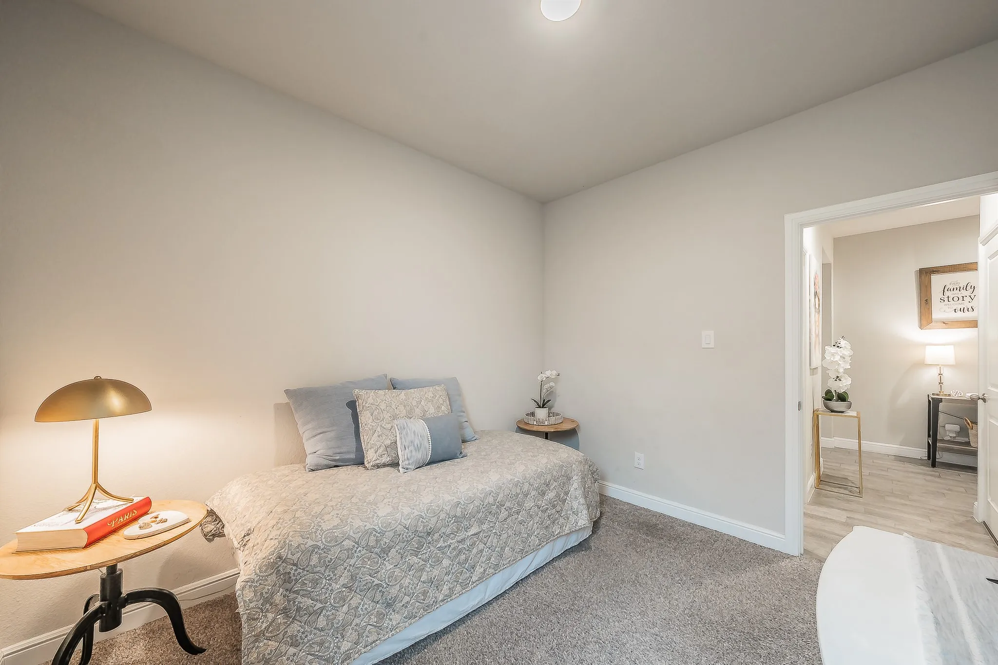 Single Family Residence For Sale in Denton County , 737 Blackhorse Trail, Fort Worth, Texas 76247, 4 Bedroom, 2 Bathroom, 2 Garage spaces, 1,664 Sqft, built in 2022, mls#21401752, Real Estate Agent in Fort Worth, Homes For Sale in Denton county, Homes For Sale in Fort Worth, Realtor in Fort Worth Texas, Real Estate Brokerage Independent Realty Texas, Luminita Cordes Realtor