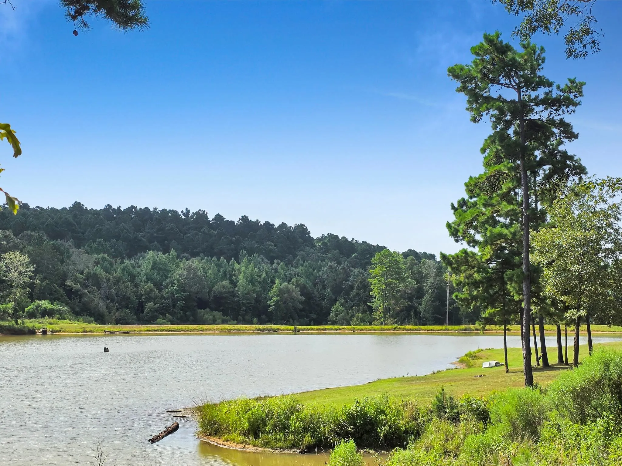 Ranch For Sale in Leon County , 10024 County Road 207, Centerville, Texas 75833, 0, 0, Garage spaces, 0 Sqft, built in 2022, mls#21402776, Real Estate Agent in Centerville, Homes For Sale in Leon county, Homes For Sale in Centerville, Realtor in Centerville Texas, Real Estate Brokerage Independent Realty Texas, Luminita Cordes Realtor