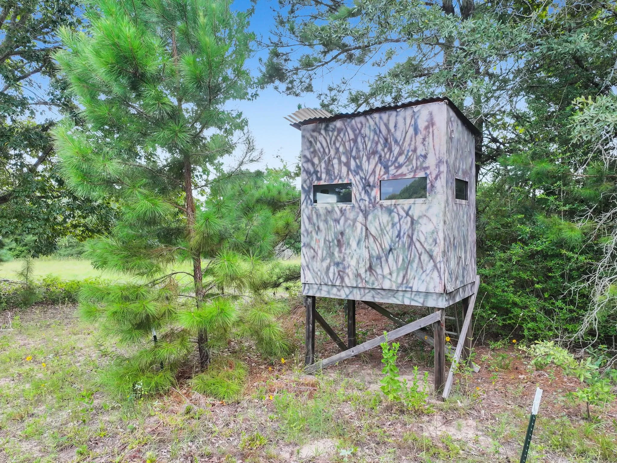 Deer Stand