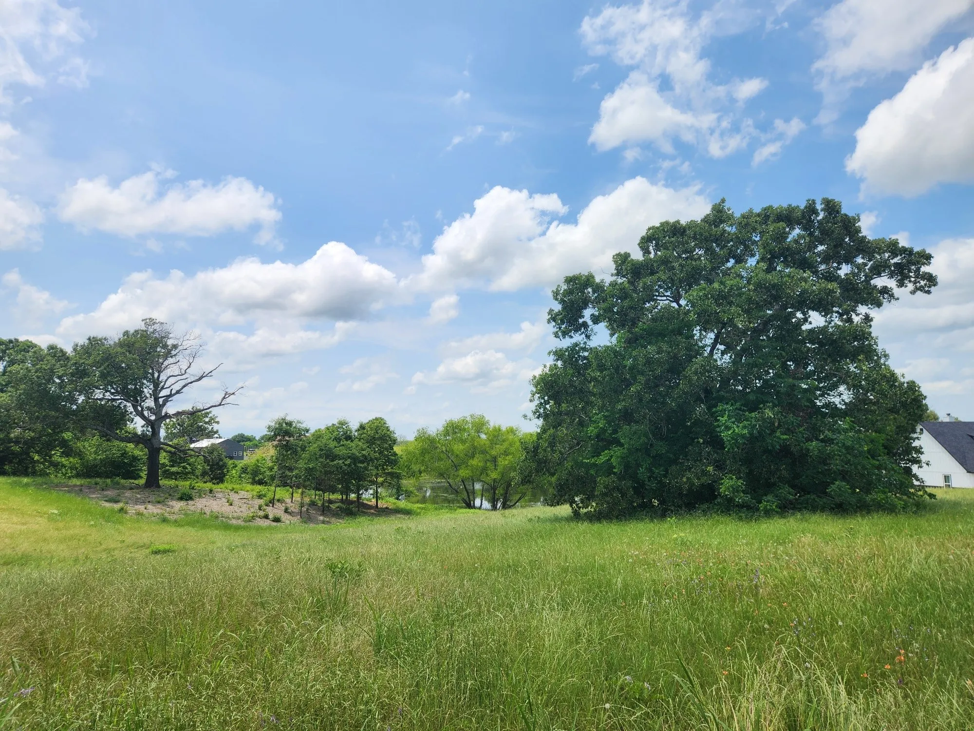 Unimproved Land For Sale in Henderson County , Lot 125 Clear View Court, Athens, Texas 75752, 0, 0, Garage spaces, 0 Sqft, built in 0, mls#21401623, Real Estate Agent in Athens, Homes For Sale in Henderson county, Homes For Sale in Athens, Realtor in Athens Texas, Real Estate Brokerage Independent Realty Texas, Luminita Cordes Realtor