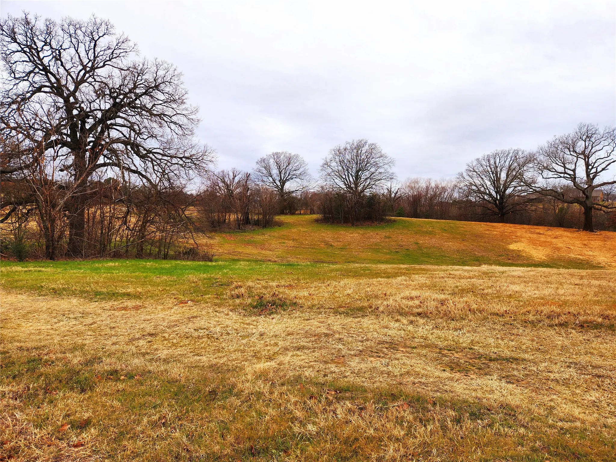 Unimproved Land For Sale in Henderson County , Lot 125 Clear View Court, Athens, Texas 75752, 0, 0, Garage spaces, 0 Sqft, built in 0, mls#21401623, Real Estate Agent in Athens, Homes For Sale in Henderson county, Homes For Sale in Athens, Realtor in Athens Texas, Real Estate Brokerage Independent Realty Texas, Luminita Cordes Realtor