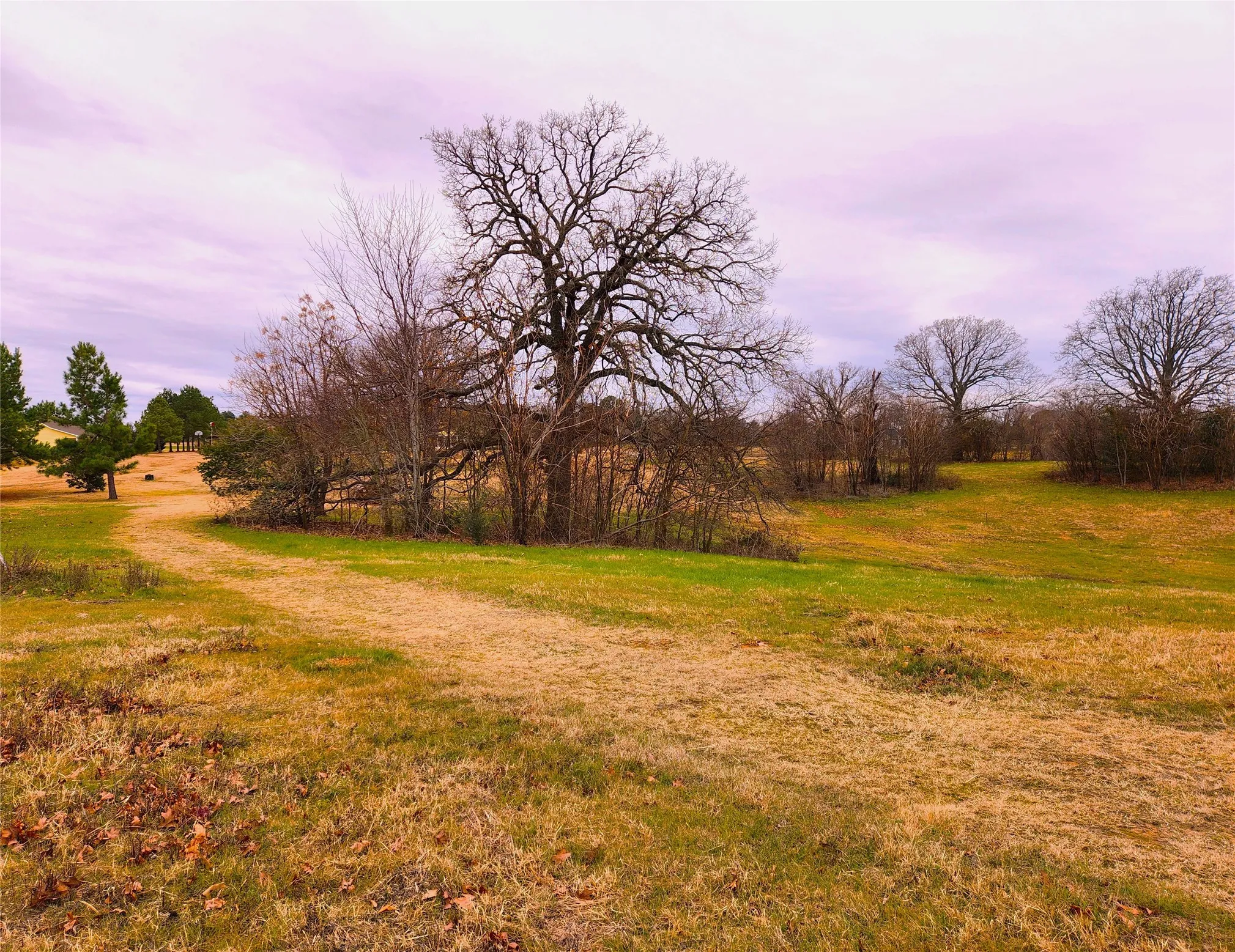 Unimproved Land For Sale in Henderson County , Lot 125 Clear View Court, Athens, Texas 75752, 0, 0, Garage spaces, 0 Sqft, built in 0, mls#21401623, Real Estate Agent in Athens, Homes For Sale in Henderson county, Homes For Sale in Athens, Realtor in Athens Texas, Real Estate Brokerage Independent Realty Texas, Luminita Cordes Realtor